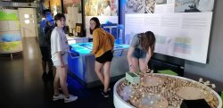 Obrázek galerie - 
