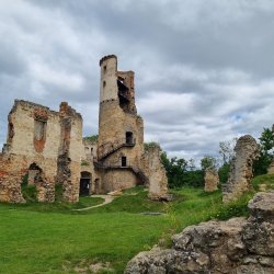 Obrázek galerie - 