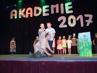 Obrázek galerie - 