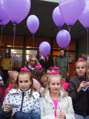 Obrázek galerie - 