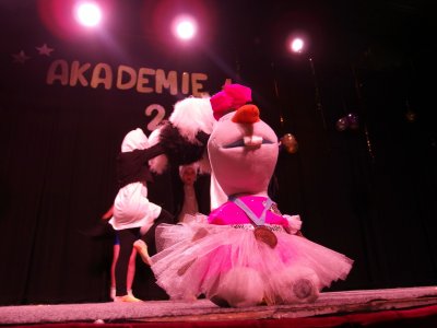 Obrázek galerie - 