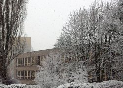 Obrázek galerie - 