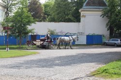 Obrázek galerie - 