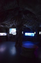 Obrázek galerie - 