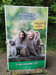 Obrázek galerie - 